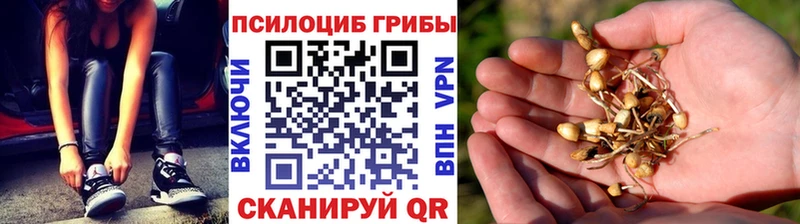 Псилоцибиновые грибы Magic Shrooms Вязьма